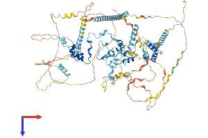 AlphaFold protein structure predicition of Human Recombinant SF3B2 Protein, UniprotID Q13435