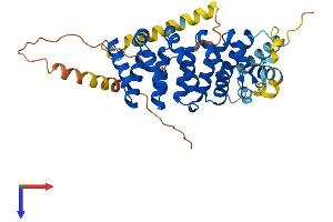 AlphaFold protein structure predicition of Human Recombinant ARMCX3 Protein, UniprotID Q9UH62