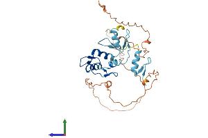 AlphaFold protein structure predicition of Human Recombinant SNAI3 Protein, UniprotID Q3KNW1