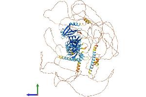 AlphaFold protein structure predicition of Human Recombinant PARD3 Protein, UniprotID Q8TEW0