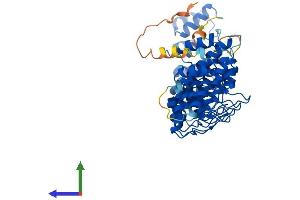 AlphaFold protein structure predicition of Human Recombinant ANKDD1A Protein, UniprotID Q495B1