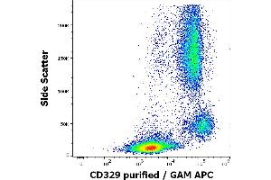 Flow cytometry surface staining pattern of human peripheral whole blood stained using anti-human CD329 (K8) purified antibody (concentration in sample 1,7 μg/mL, GAM APC). (SIGLEC9 anticorps)