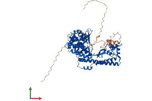 AlphaFold protein structure predicition of Mouse Recombinant Setd3 Protein, UniprotID Q91WC0