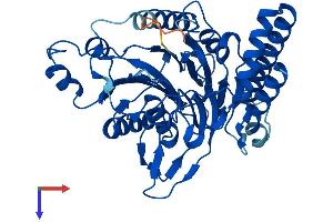 AlphaFold protein structure predicition of Human Recombinant SCRN2 Protein, UniprotID Q96FV2