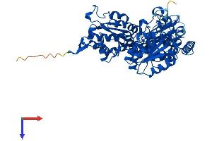 AlphaFold protein structure predicition of Mouse Recombinant Hacl1 Protein, UniprotID Q9QXE0