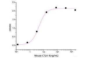 ELISA image for Cytotoxic T-Lymphocyte-Associated Protein 4 (CTLA4) (Active) protein (His tag) (ABIN7320509)