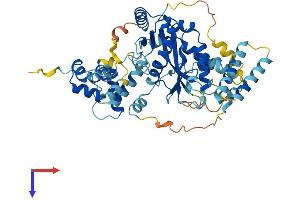 AlphaFold protein structure predicition of Mouse Recombinant Jrkl Protein, UniprotID B2RRL2