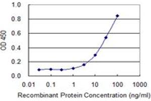 Detection limit for recombinant GST tagged COX15 is 1 ng/ml as a capture antibody. (COX15 anticorps  (AA 92-152))