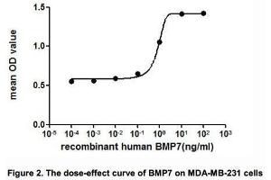 The dose-effect curve of BMP7 was shown in Figure 2.