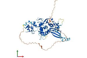 AlphaFold protein structure predicition of Mouse Recombinant Usp39 Protein, UniprotID Q3TIX9