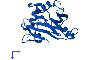 AlphaFold protein structure predicition of Human Recombinant ADI1 Protein, UniprotID Q9BV57