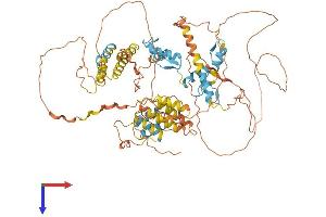 AlphaFold protein structure predicition of Human Recombinant HIC1 Protein, UniprotID Q14526