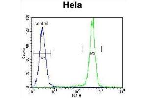 Flow Cytometry (FACS) image for anti-Protocadherin beta 10 (PCDHB10) antibody (ABIN2996327) (PCDHB10 anticorps)