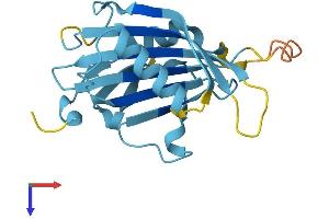 AlphaFold protein structure predicition of Human Recombinant RANGRF Protein, UniprotID Q9HD47