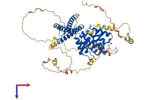 AlphaFold protein structure predicition of Human Recombinant TOM1L2 Protein, UniprotID Q6ZVM7