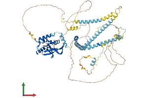 AlphaFold protein structure predicition of Human Recombinant RTF1 Protein, UniprotID Q92541