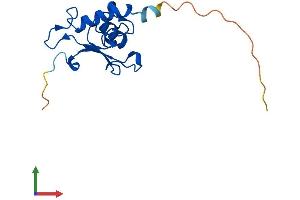 AlphaFold protein structure predicition of Human Recombinant SRP19 Protein, UniprotID P09132