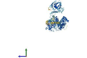 AlphaFold protein structure predicition of Human Recombinant MYO1B Protein, UniprotID O43795