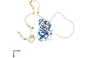 AlphaFold protein structure predicition of Mouse Recombinant Atat1 Protein, UniprotID Q8K341