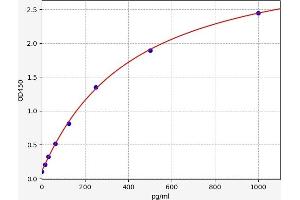 Fas Ligand (TNF Superfamily, Member 6) (FASL) ELISA Kit