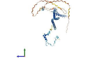 AlphaFold protein structure predicition of Mouse Recombinant Pdcd7 Protein, UniprotID Q9WTY1