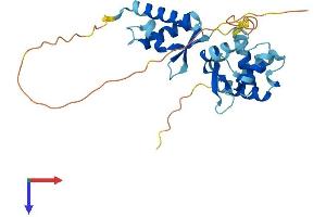 AlphaFold protein structure predicition of Mouse Recombinant Nsmce3 Protein, UniprotID Q9CPR8