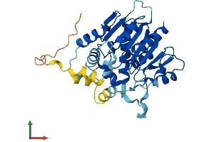 AlphaFold protein structure predicition of Mouse Recombinant Abhd4 Protein, UniprotID Q8VD66