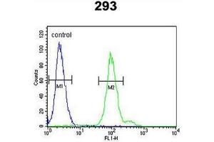 CFB Antibody (Center) flow cytometric analysis of 293 cells (right histogram) compared to a negative control cell (left histogram).