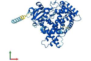 AlphaFold protein structure predicition of Human Recombinant CYP2F1 Protein, UniprotID P24903