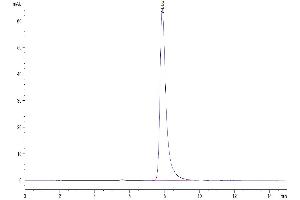 The purity of Mouse SLAMF7 is greater than 95 % as determined by SEC-HPLC.