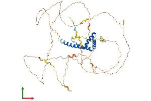 AlphaFold protein structure predicition of Mouse Recombinant Tox Protein, UniprotID Q66JW3