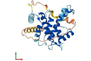 AlphaFold protein structure predicition of Human Recombinant CAPNS2 Protein, UniprotID Q96L46