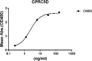 ELISA plate pre-coated by 2 μg/mL (100 μL/well) Human GPRC5D protein, hFc-His tagged protein ((ABIN6961124, ABIN7042277 and ABIN7042278)) can bind Rabbit anti-GPRC5D monoclonal antibody(clone: DM89) in a linear range of 0. (GPRC5D anticorps  (AA 1-27))