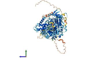AlphaFold protein structure predicition of Mouse Recombinant Gpat2 Protein, UniprotID Q14DK4