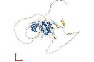 AlphaFold protein structure predicition of Human Recombinant NUAK2 Protein, UniprotID Q9H093