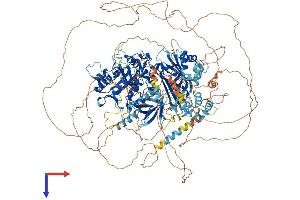 AlphaFold protein structure predicition of Mouse Recombinant Plch2 Protein, UniprotID A2AP18