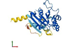 AlphaFold protein structure predicition of Human Recombinant SAR1B Protein, UniprotID Q9Y6B6