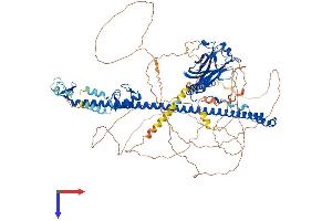 AlphaFold protein structure predicition of Human Recombinant TRIM37 Protein, UniprotID O94972