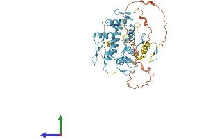 AlphaFold protein structure predicition of Human Recombinant ZNF584 Protein, UniprotID Q8IVC4