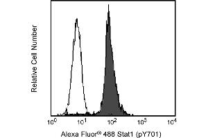 Flow Cytometry (FACS) image for anti-Signal Transducer and Activator of Transcription 1, 91kDa (STAT1) (pTyr701) antibody (Alexa Fluor 488) (ABIN1177191) (STAT1 anticorps  (pTyr701) (Alexa Fluor 488))