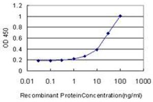Detection limit for recombinant GST tagged MEOX1 is approximately 1ng/ml as a capture antibody. (MEOX1 anticorps  (AA 165-252))
