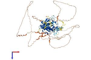 AlphaFold protein structure predicition of Human Recombinant MEPCE Protein, UniprotID Q7L2J0