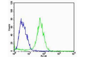 Flow cytometric analysis of MCF-7 cells using ADRA1D Antibody (N-term)(green) compared to an isotype control of rabbit IgG(blue).