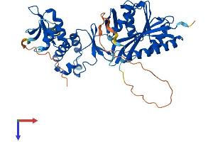 AlphaFold protein structure predicition of Human Recombinant TRMT12 Protein, UniprotID Q53H54