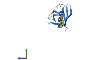 AlphaFold protein structure predicition of Mouse Recombinant Phlda2 Protein, UniprotID O08969
