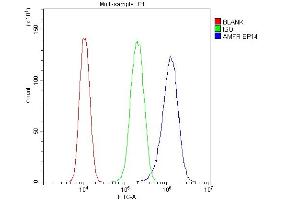 Flow Cytometry analysis of U87 cells using anti-AMFR antibody (ABIN4886455). (AMFR anticorps  (AA 553-643))