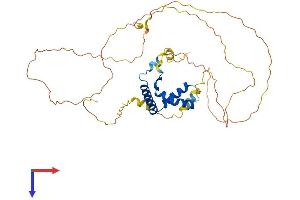 AlphaFold protein structure predicition of Human Recombinant LEF1 Protein, UniprotID Q9UJU2