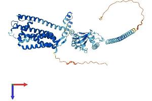 AlphaFold protein structure predicition of Human Recombinant CNGA4 Protein, UniprotID Q8IV77