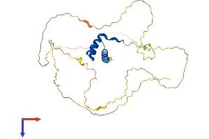 AlphaFold protein structure predicition of Human Recombinant HOXC10 Protein, UniprotID Q9NYD6