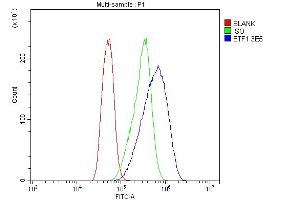 Flow Cytometry analysis of Caco-2 cells using anti-eRF1/ETF1 antibody (ABIN7602626). (ETF1 anticorps  (AA 9-342))
